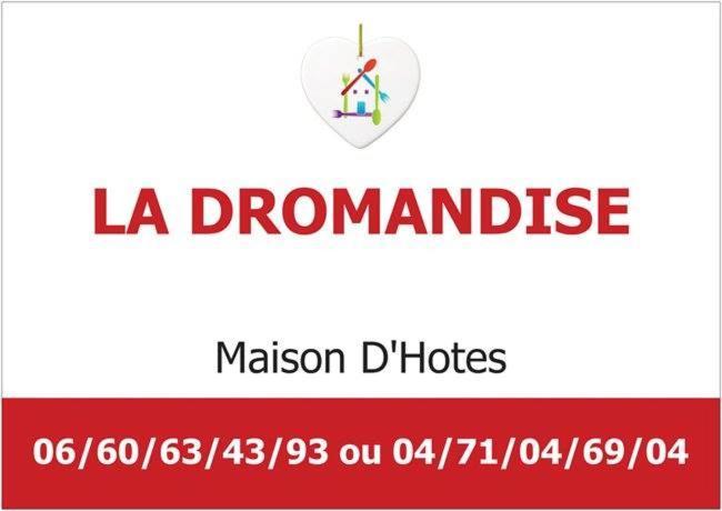 Maison D'Hotes La Dromandise Saint-Arcons-de-Barges Екстериор снимка